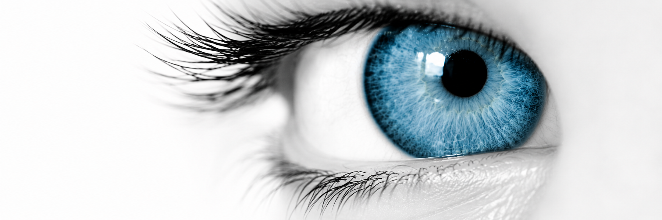 91fc6799 d428 4616 9c46 1ebfc4f1cae1